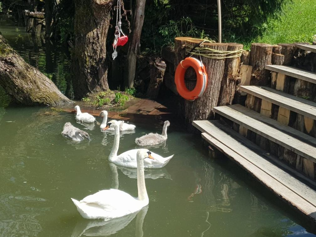 River Houses Ljubljanica ลูบลิยานา ภายนอก รูปภาพ